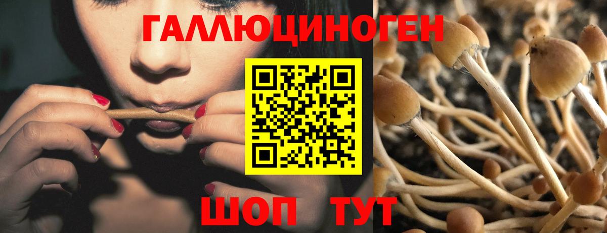 Апатиты  Псилоцибиновые грибы Magic Shrooms  Вход с VPN 